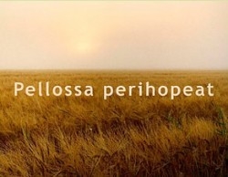 Sep�nmaa, Yrj� ja Heikkil�-Palo, Liisa: Pellossa perihopeat